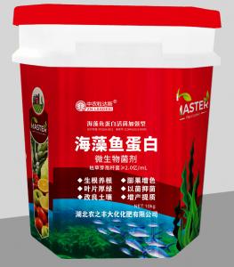 海藻鱼蛋白（微生物菌剂）